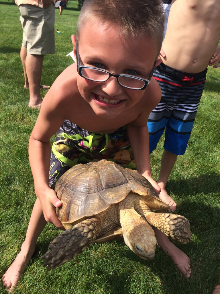 animal show for birthday parties