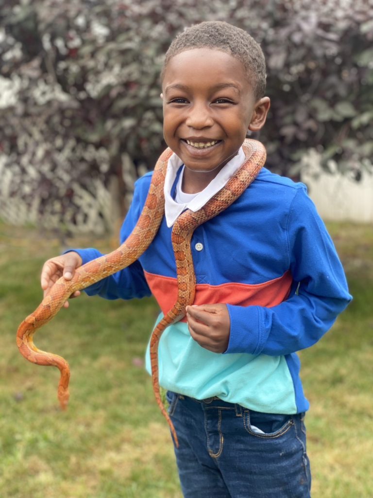 animal show for birthday parties