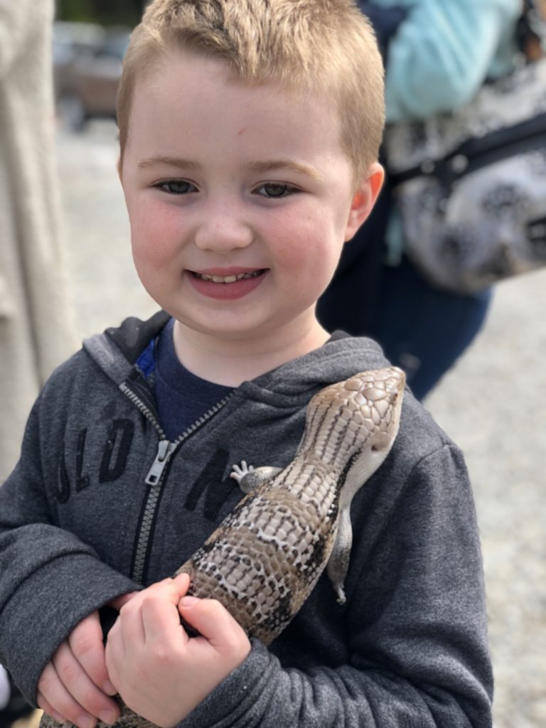 daycare reptile visit