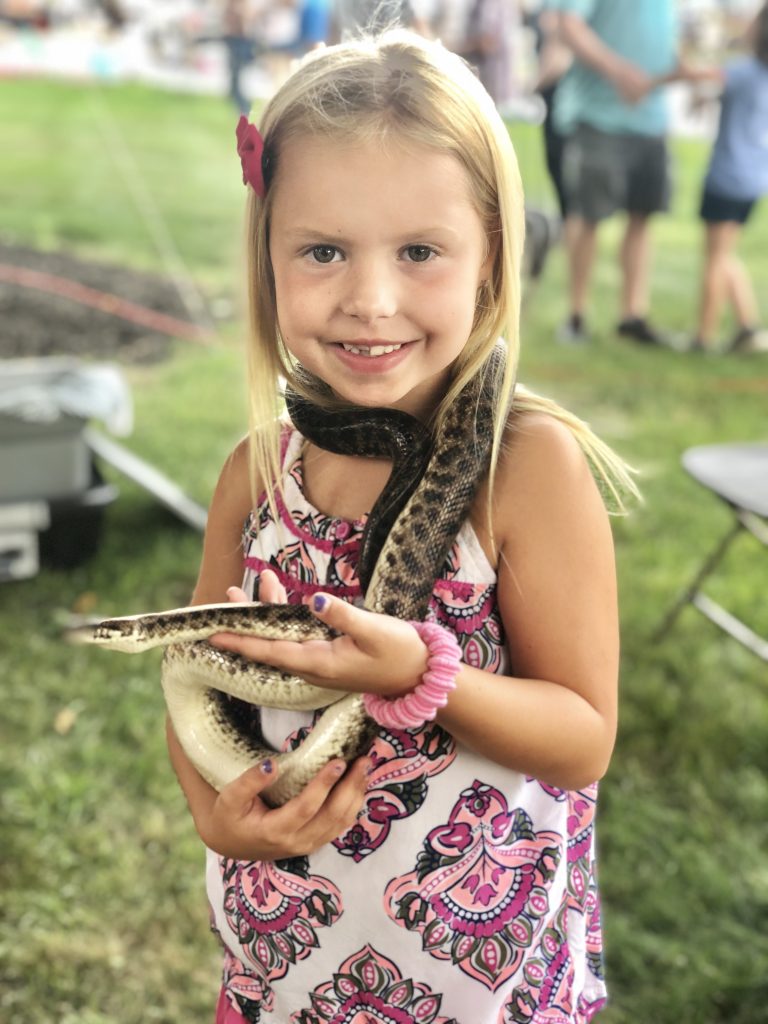 festival entertainment