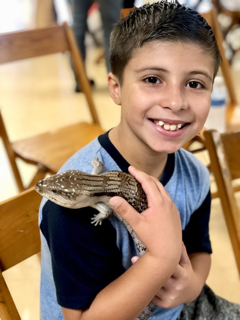 summer camp reptile show