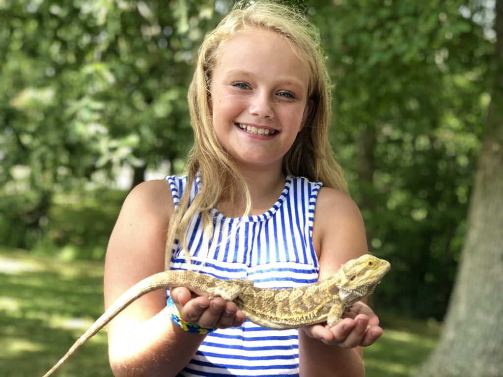summer camp reptile show