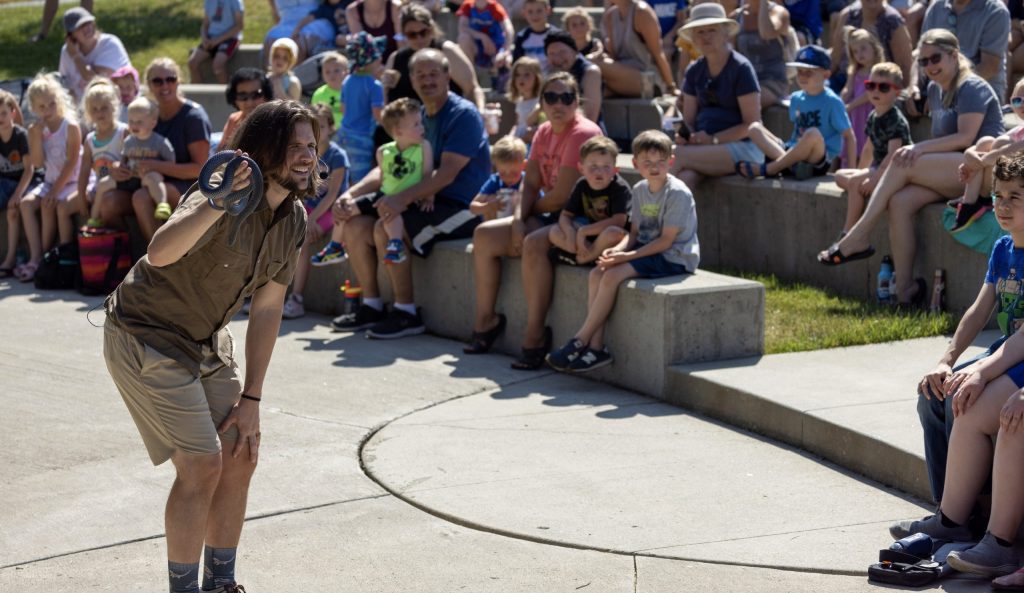 festival entertainment