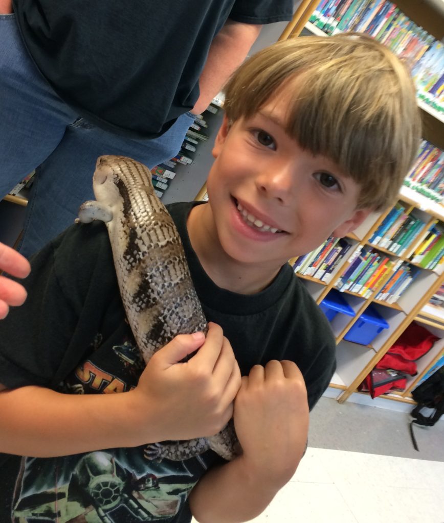 Summer Reading Program